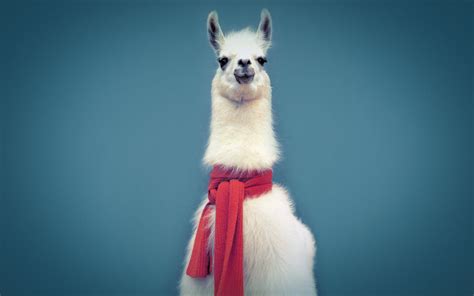 The main goal of llama.cpp is to enable LLM inference with minimal setup and state-of-the-art performance on a wide variety of hardware - locally and in the cloud. Plain C/C++ implementation without any dependencies. Apple silicon is a first-class citizen - optimized via ARM NEON, Accelerate and Metal frameworks. 